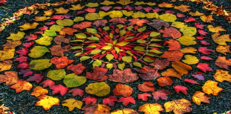 feuilles d'automne disposées en mandala